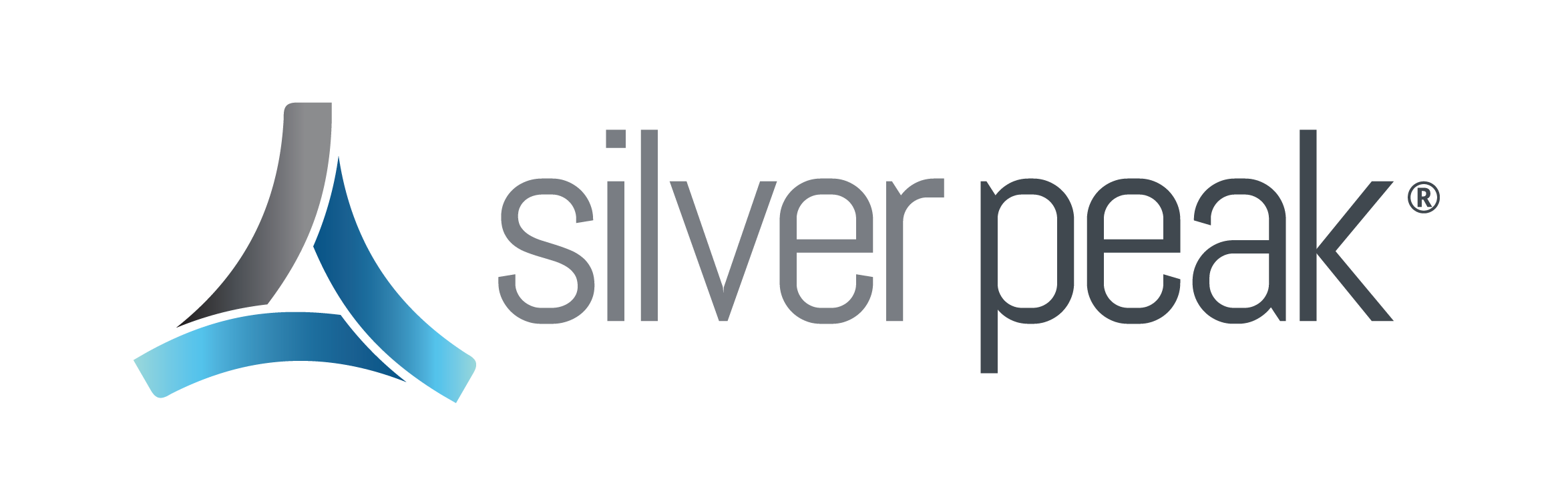 Silver-Peak-4-Color.png